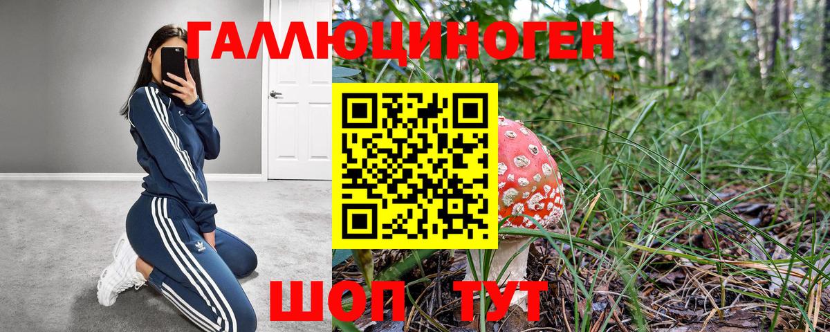Псилоцибиновые грибы мухоморы  Вход с VPN  Псилоцибиновые грибы Psilocybe  Новочеркасск 